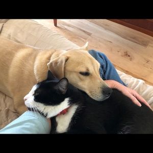 Meet your Posher, Michele